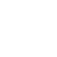 shell-white